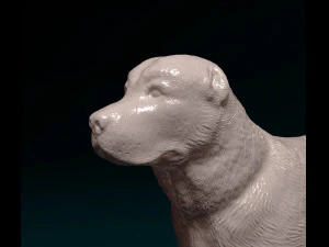 Alabay dog 3D Print Model