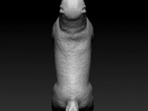 Alabay dog Model Cetak 3D