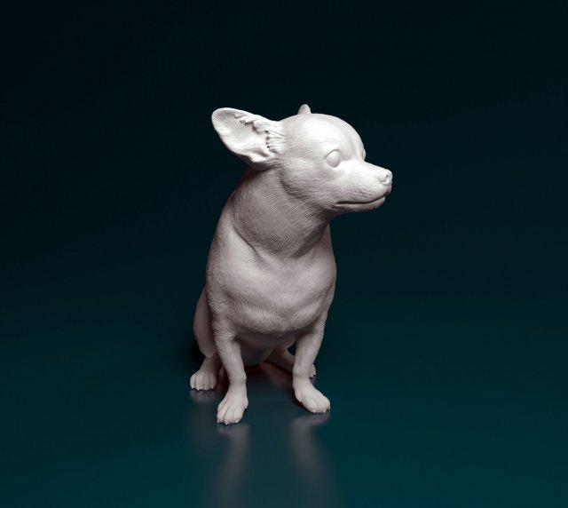 Chihuahua sitting 3D प्रिंट मॉडल .c4d .max .obj .3ds .fbx .stl .blend 