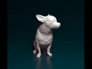 Chihuahua sitting 3D Print Model