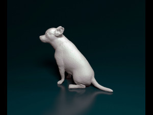 Chihuahua sitting 3D प्रिंट मॉडल