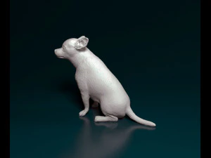 Chihuahua sitting 3D Print Model