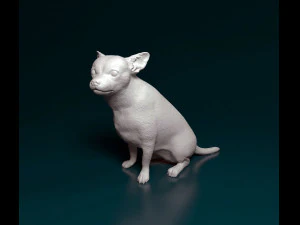 Chihuahua sitting 3D Print Model