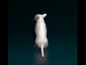 Chihuahua sitting 3D प्रिंट मॉडल