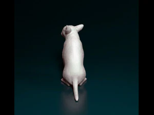 Chihuahua sitting 3D Print Model
