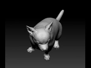Chihuahua sitting 3D Print Model