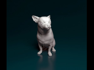 Chihuahua sitting 3D प्रिंट मॉडल