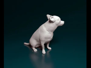 Chihuahua sitting 3D Print Model