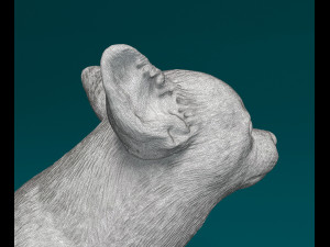 Chihuahua sitting 3D प्रिंट मॉडल