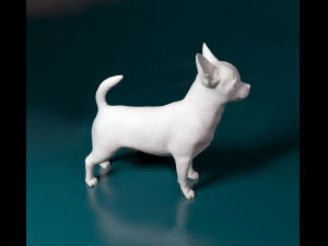 Chihuahua dog 3D Принт Модель