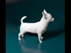 Chihuahua dog 3D Print Model