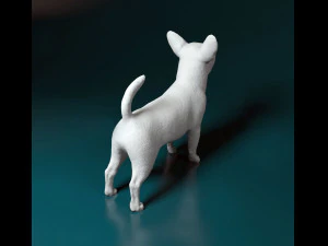 Chihuahua dog 3D Print Model