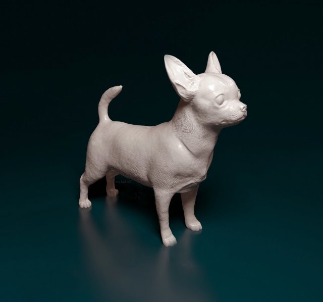 Chihuahua dog 3D Принт Модель .c4d .max .obj .3ds .fbx .stl .blend 