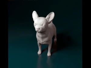 Chihuahua dog 3D Print Model
