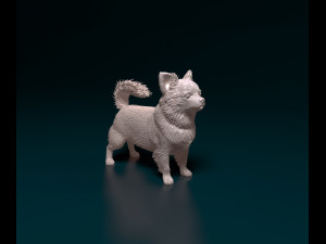 Chihuahua long haired Modelo de impresión 3D