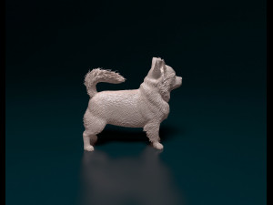 Chihuahua long haired Modello di stampa 3D