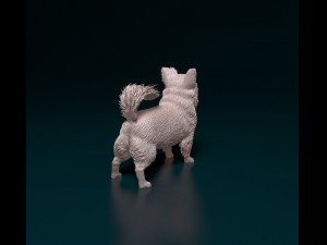 Chihuahua long haired Modello di stampa 3D