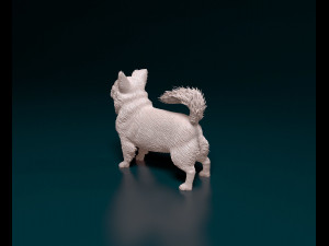 Chihuahua long haired Modello di stampa 3D