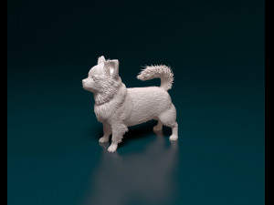 Chihuahua long haired Modello di stampa 3D