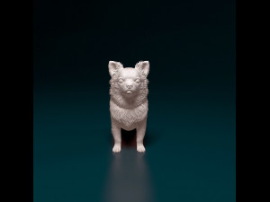 Chihuahua long haired Modello di stampa 3D