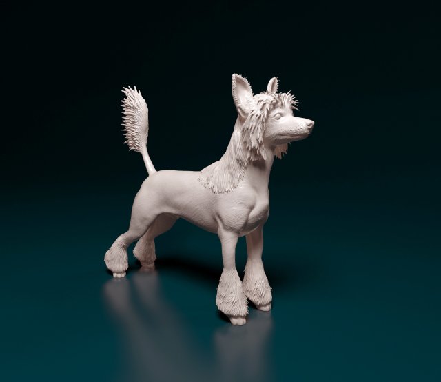 Chinese Crested dog 3D Принт Модель .c4d .max .obj .3ds .fbx .stl .blend 