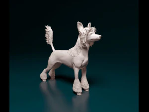 중국 볏 개 3D 프린트 모델