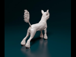 Chinese Crested dog 3D Принт Модель
