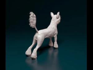 Chinese Crested dog 3D Print Model