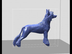Chinese Crested dog 3D Print Model
