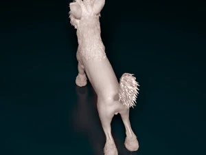 Chinese Crested dog 3D Print Model