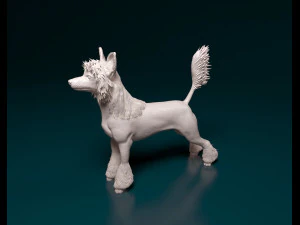 Chinese Crested dog 3D Print Model