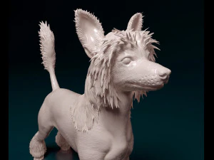 Chinese Crested dog 3D Print Model