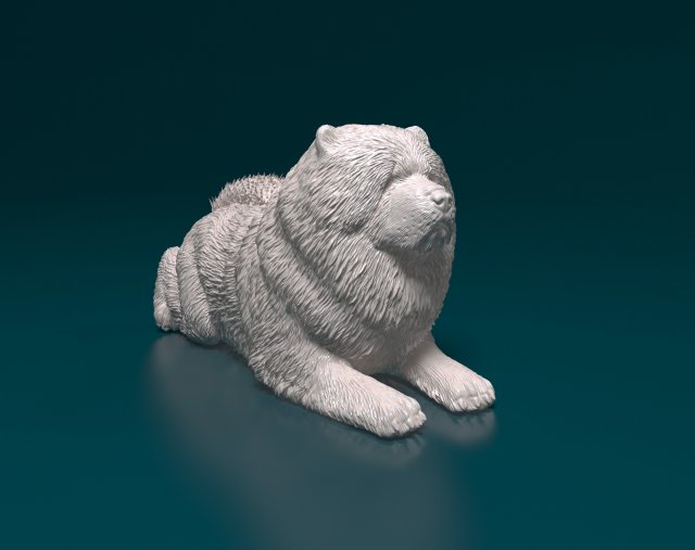 Chow chow dog Modello di stampa 3D .c4d .max .obj .3ds .fbx .stl .blend 
