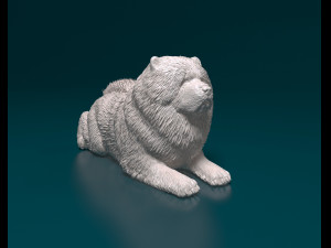 Chow chow dog 3D Print Model