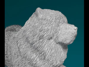 Chow chow dog 3D Print Model