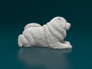 Chow chow dog Modello di stampa 3D