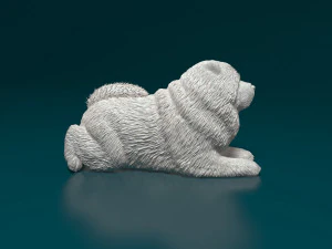 Chow chow dog 3D Print Model