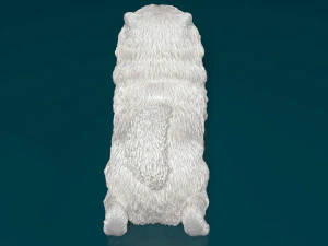 Chow chow dog 3D Print Model