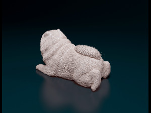 Chow chow dog Modello di stampa 3D