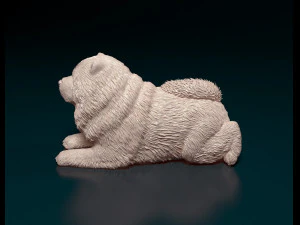 Chow chow dog 3D Print Model