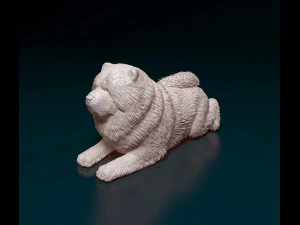 Chow chow dog 3D Print Model