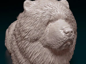 Chow chow dog 3D Print Model