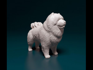Chow-chow Modelo de impresión 3D