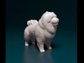 Chow-chow 3D प्रिंट मॉडल