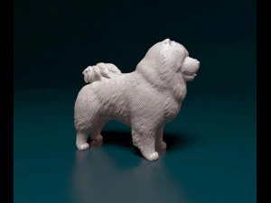 Chow-chow 3D Print Model