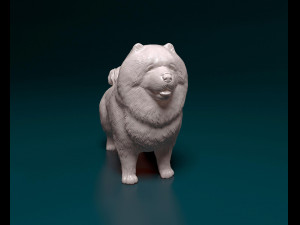 Chow-chow Modelo de Impressão 3D