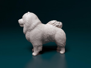 Chow-chow Modelo de Impressão 3D