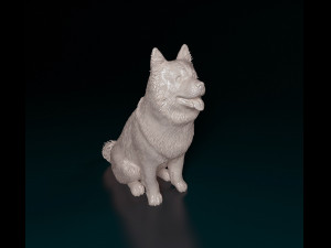 Chow-chow sitting Modello di stampa 3D