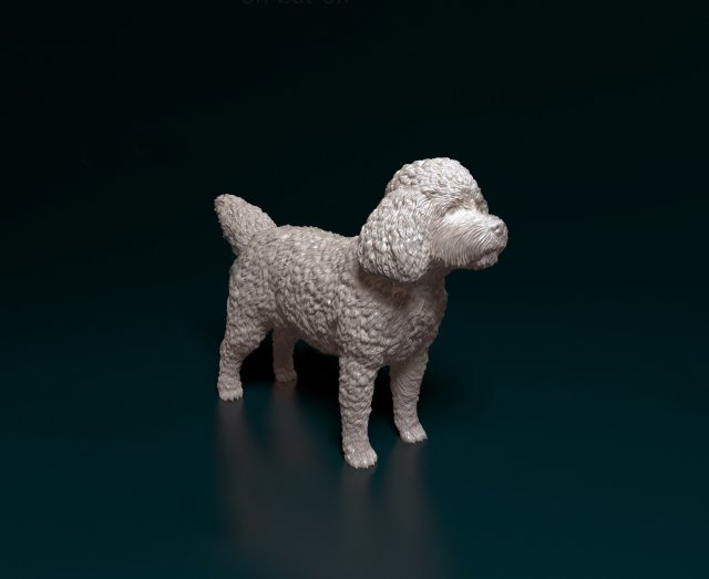 CockerPoo Model do druku 3D .c4d .max .obj .3ds .fbx .stl .blend