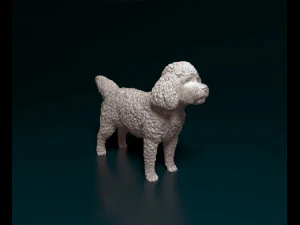 CockaPoo Modello di stampa 3D